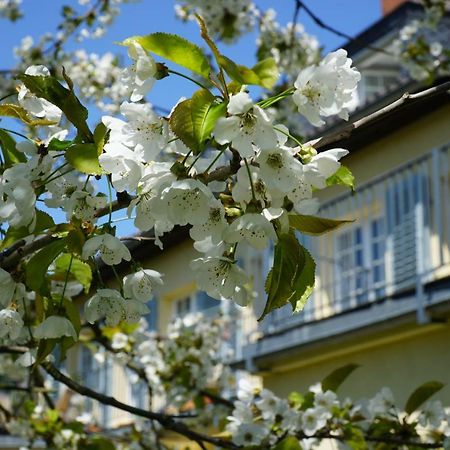 Weimar-Appartement Веймар Екстер'єр фото